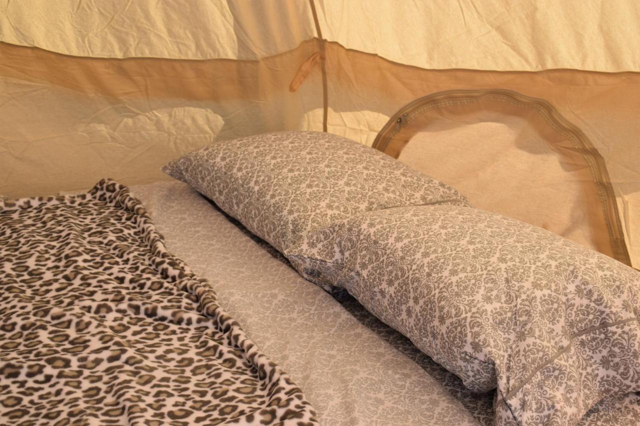 Starlight Tent 2 Holbrook Exterior photo